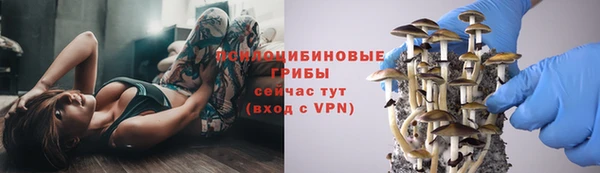 mdma Осташков