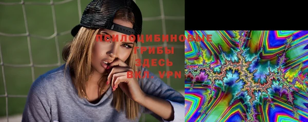 спайс Осинники