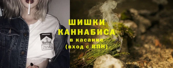 спайс Осинники