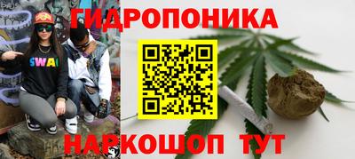 альфа пвп Гатчина