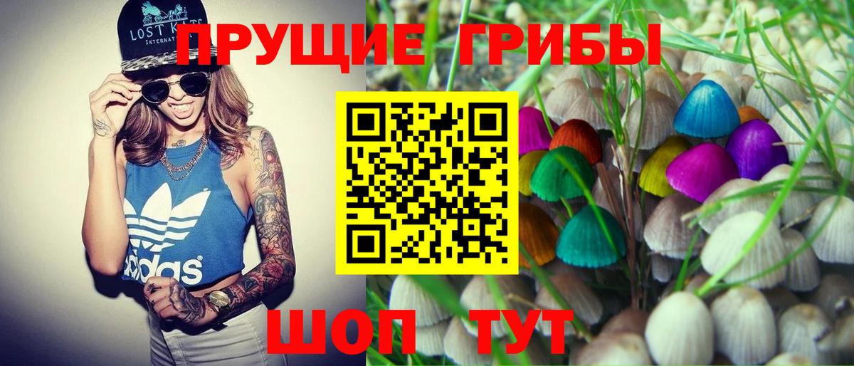 Галлюциногенные грибы мухоморы  Волоколамск  Галлюциногенные грибы Cubensis 