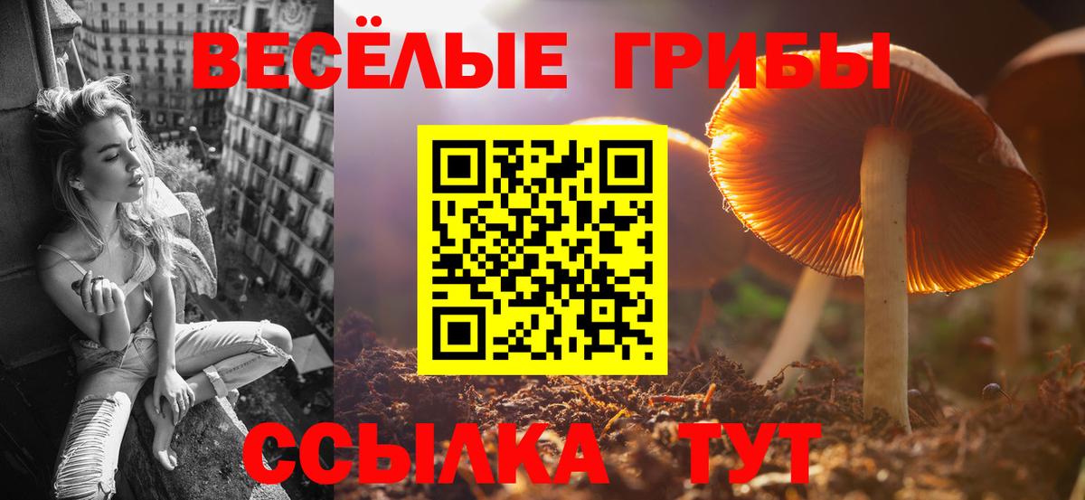 Псилоцибиновые грибы прущие грибы Волоколамск