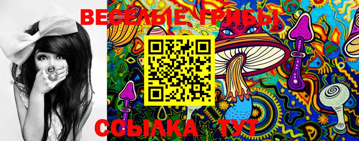 Псилоцибиновые грибы прущие грибы Волоколамск