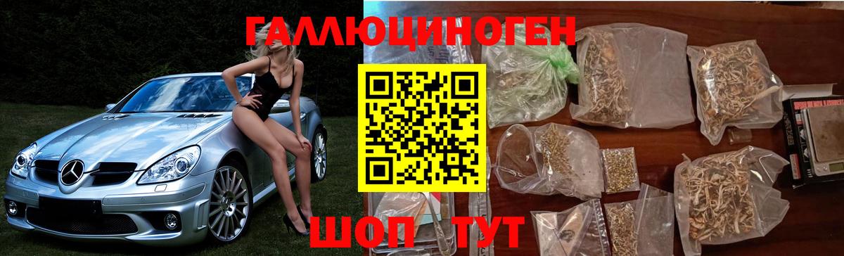 Волоколамск  Галлюциногенные грибы Magic Shrooms  Вход с VPN  Галлюциногенные грибы GOLDEN TEACHER 